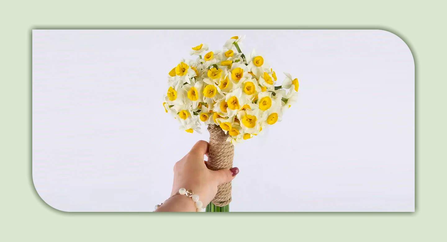 گل نرگس؛ زیبایی با خطرات نهفته در پیاز