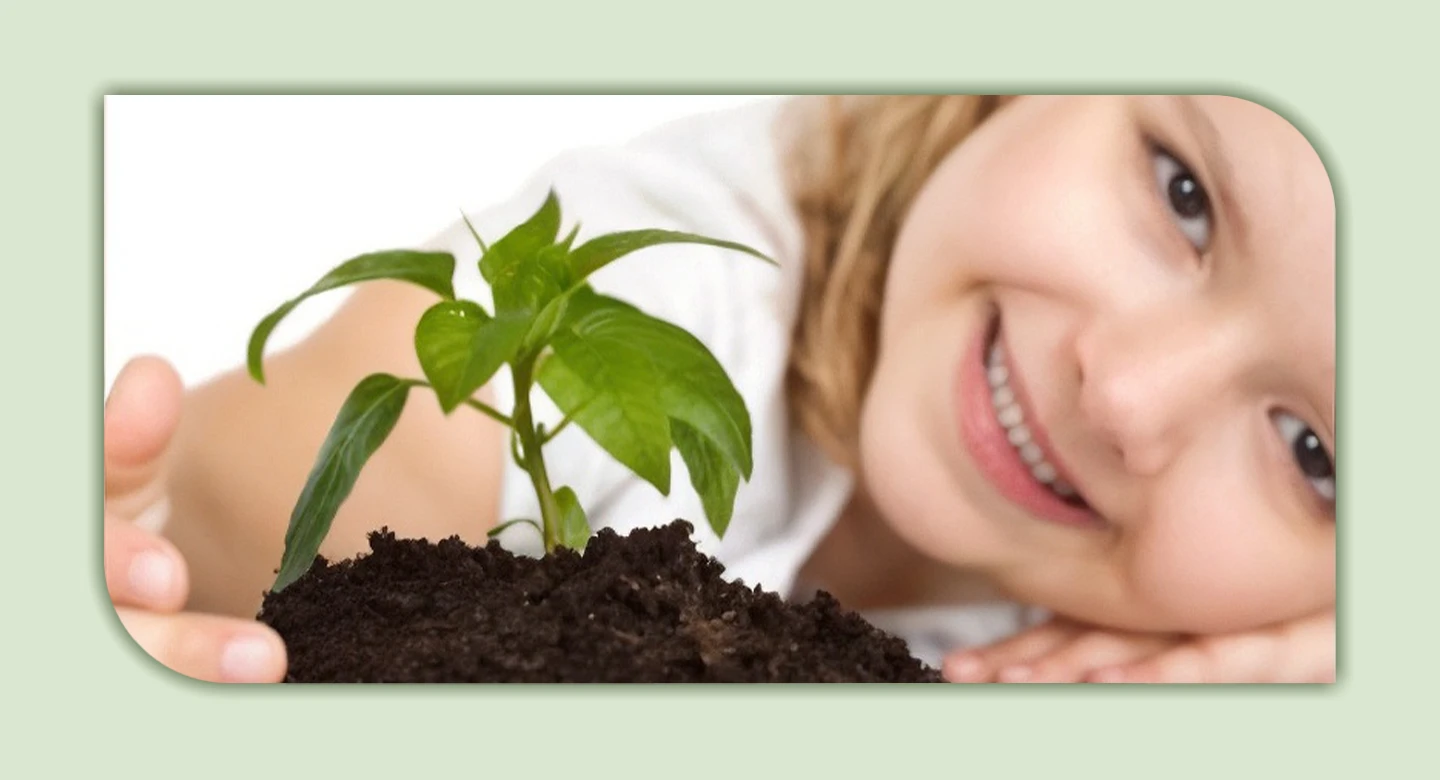 راز دفاع سبز؛ چرا برخی گیاهان آپارتمانی سمی‌اند؟