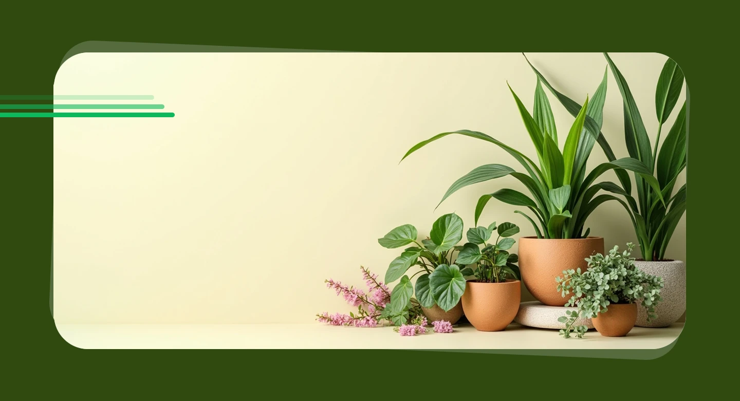 نقش پنهان گیاهان آپارتمانی در سلامت جسم و روان