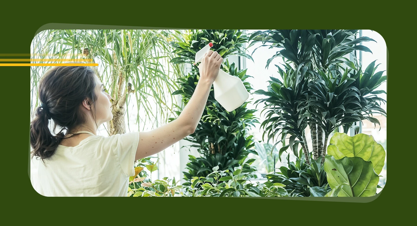 چطور گیاهان خانگی حال روان ما را بهتر می‌کنند؟