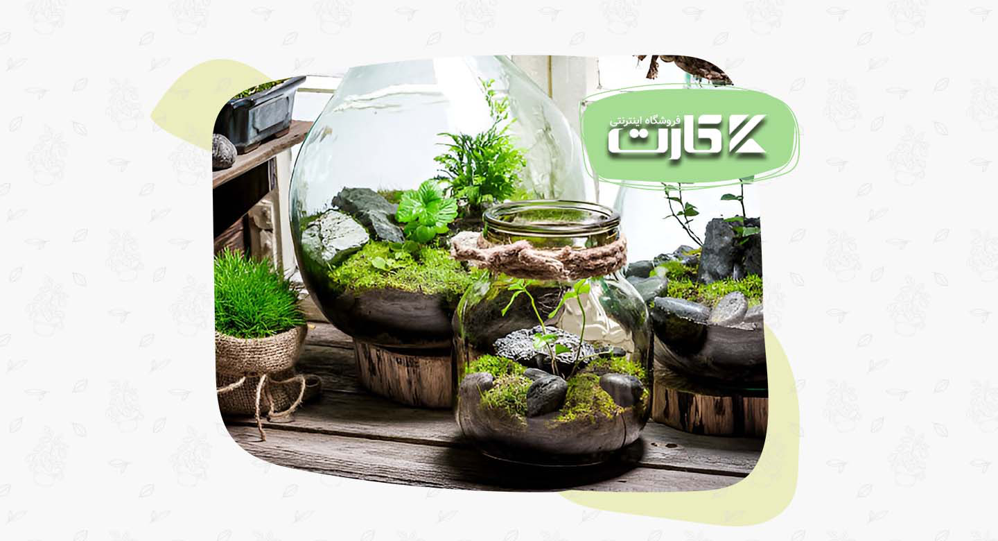 گیاهان کوچک؛ بهترین همراه برای فضاهای محدود و میزهای کار