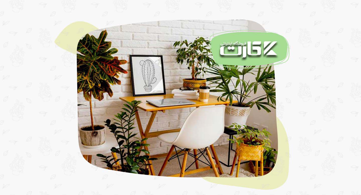 گیاهان تصفیهکننده هوا؛ کلید آرامش و هوای پاک در خانههای مدرن