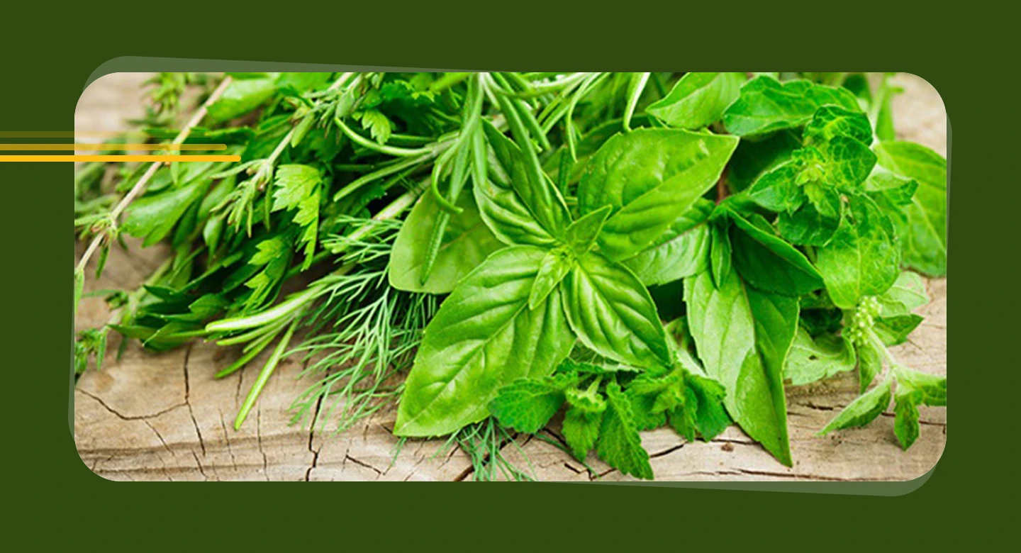 گیاهان دارویی